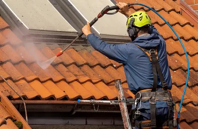 Démoussage et hydrofuge de toiture à Vesancy